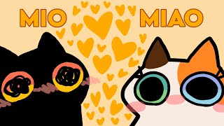 MIO MIAO [upl. by Mallina]