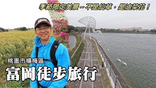 8公里富岡徒步旅行，感動我的，不是仙草，而是quot油菜花quot 正確應是quot太陽麻quot 【季節限定美景】 [upl. by Yellas540]