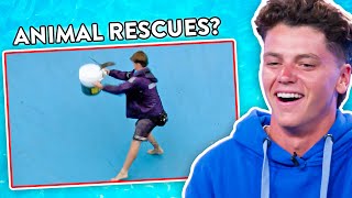 FUNNIEST Animal Rescues  Bondi Lifeguard Reacts [upl. by Allisurd76]