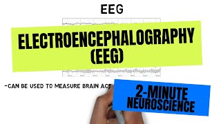 2Minute Neuroscience Electroencephalography EEG [upl. by Adoree]