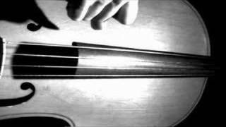 Cello 2  more high speed video [upl. by Minni]