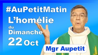 Homélie du Dimanche 22 Octobre  Avec Mgr Aupetit [upl. by Mehta546]