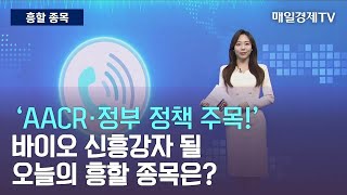 흥할 종목 AACR·정부 정책 주목 바이오 신흥강자 될오늘의 흥할 종목은출연 김흥태 MBN골드 매니저 흥할 종목 매일경제TV [upl. by Anawal959]