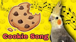 Cookie Song  จิงเจอร์ปุ๊ดๆ  Cookie Cookie  Cockatiel Training Sound  Cockatiel Training Songs [upl. by Kristal]