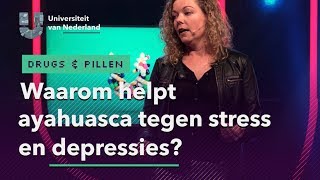 Waarom helpt ayahuasca tegen stress en depressies  DRUGS amp PILLEN [upl. by Nerag421]