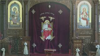 August 01 2024 Divine Liturgy for St Philopateer [upl. by Sheaff]