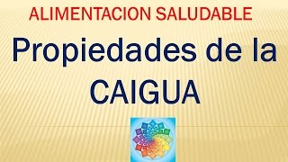 Propiedades de la CAIGUA [upl. by Cherilyn]