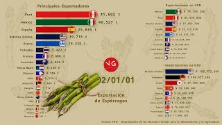 Principales Exportadores de Espárragos en el Mundo [upl. by Wemolohtrab624]