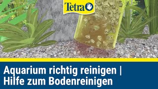 Aquarium richtig reinigen  Schnelle Hilfe zum bodenreinigen [upl. by Harrod]