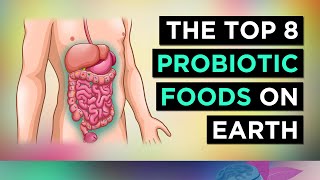 The BEST 8 PROBIOTIC Foods In The WORLD [upl. by Anitnerolf316]