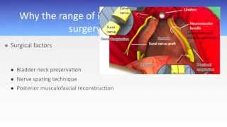 Prostate cancer incontinence after prostatectomy the scale of the problem 2013 [upl. by Figueroa296]