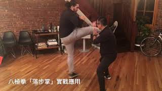 Bajiquan Combat Application  Luo Bu Zhang 八極拳『落步掌』實戰應用 [upl. by Dragon]