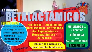 BETALACTÁMICOS antibióticos [upl. by Fredrika]