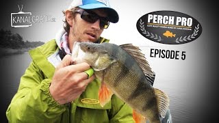 Perch Pro 2016  EPISODE 5  Kanalgratisse [upl. by Leanna906]