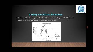 Origin of biopotential and its propagation [upl. by Gordie424]