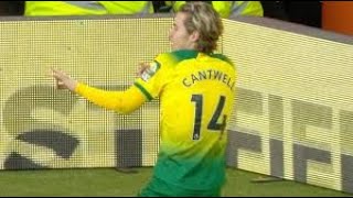 Todd Cantwell 201920 ►All goals in the Premier League  Norwich City  HD [upl. by Esilram]