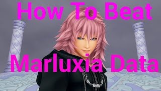 How To Beat Marluxia Data Battle  Kingdom Hearts 25 [upl. by Elehcar]