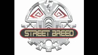 Hot Wheels Highway 35 World Race Street Breed Theme [upl. by Rihat]