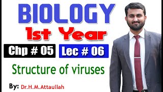 Structure of viruses  Chapter 5  1st year Biology  Lec  6 [upl. by Eanel]