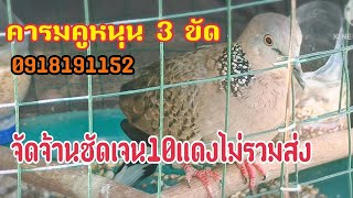 เปิดแบ่งนกคารมคูหนุนคารมจัดจ้านครบเครื่อง1000ไม่รวมส่ง0918191152 [upl. by Emad310]