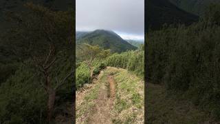 Hike in Hakone [upl. by Goddord977]