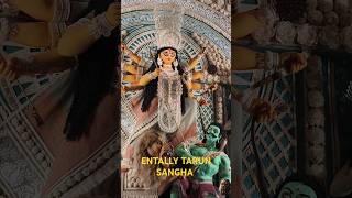 ENTALLY TARUN SANGHA shorts shortsvideo viralfeed durgapuja shortsfyp kolkatastreetfood viral [upl. by Fisken]