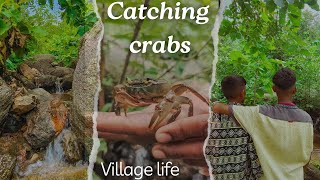 Catching Crabs In Forest  Kakde  Tribal Life style  Village Life villagelife trending [upl. by Ahsanat232]