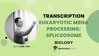 Types of RNA and Mechanism of Transcription [upl. by Eatnoid229]