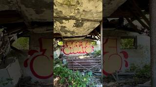 acute schwefelgelb handstyle graffiti tagsandthrows throwupcult spraypaint graffitithrowup [upl. by Nainatrad]