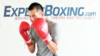 How to Block Punches in Boxing [upl. by Keslie]