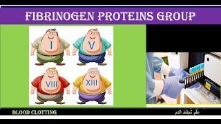 Lecture 32 Fibrinogen Proteins Group [upl. by Einned]