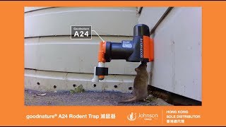 goodnature® A24 Rodent Trap Kit【新西蘭goodnature® A24滅鼠器】 [upl. by Nytsuj805]