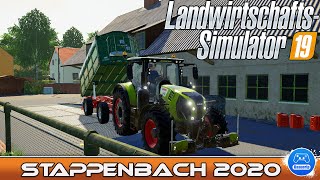 LS19  Stappenbach 38 Zuckerrüben verkaufen  Landwirtschafts Simulator 2019  Lets Play [upl. by Egreog700]