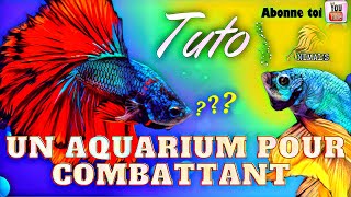 🔵 TUTO  UN AQUARIUM POUR COMBATTANT [upl. by Ennahteb]