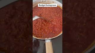 Budget bolognese bolognese budget [upl. by Maclay]