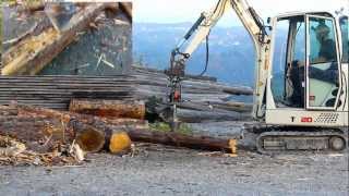 Holzspalter mit Minibagger Terex TC20 [upl. by Paula]