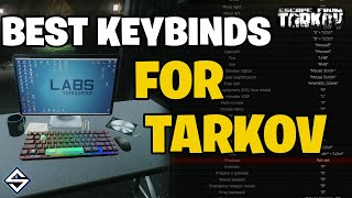 Best Keybinds for Escape From Tarkov [upl. by Otecina]