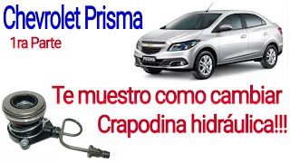 Te muestro como cambiar crapodina hidráulica chevrolet prisma [upl. by Vyner]