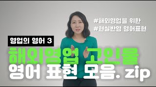 해외영업에서 살아남는 영어 스킬 5분만에 정리함 feat 영업의 영어3 [upl. by Dorena]