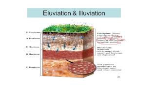 Process of Soil Formation Soil science 12 [upl. by Ariane]