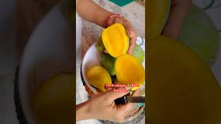 Seasonal fruit mango 🥭 picking direct from trees 🌳🥰🥰sweet mango 🥭 nepalisong mango o [upl. by Channa]