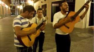 Los muchachos gitanos nos cantan en Sevilla [upl. by Borlow]