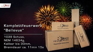 Komplettfeuerwerk quotBellevuequot [upl. by Annazor]