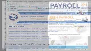 Irish Payroll 2014 Training Course amp Reference Guide PC Edition [upl. by Enninaej943]