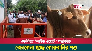 ফেনীতে ‘লাইভ ওয়েট’ পদ্ধতিতে বেচাকেনা হচ্ছে কোরবানির পশু  Feni Cow  Live Weight  Gtv News [upl. by Youngman]