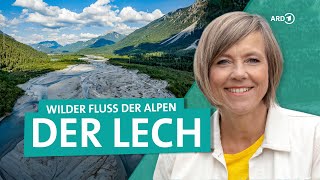 Der Lech von Österreich bis Bayern  Der letzte wilde Fluss der Alpen  ARD Reisen [upl. by Hilde]