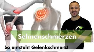 Sehnenschmerzen  Das solltest du über Schmerzen wissen [upl. by Alyad497]