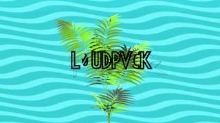 LOUDPVCK  LIT [upl. by Aihsakal324]