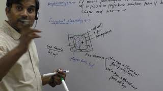 Plasmolysis Incipient Plasmolysis and Deplasmolysis [upl. by Kiersten]