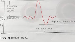 GCSE PE Lung volumes Spirometer trace [upl. by Teiv]